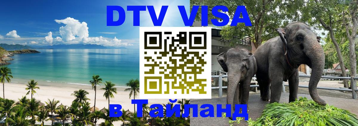 Оформление DTV визы под ключ: стоимость и тарифы, только загранпаспорт - 19.11.2025 